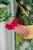 Jedwabna różowa gumka scrunchie BOMOYE